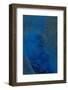 Aqua Dance-Doug Chinnery-Framed Photographic Print