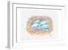 Aqua Eggs-Beverly Dyer-Framed Premium Giclee Print