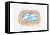Aqua Eggs-Beverly Dyer-Framed Stretched Canvas