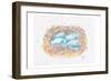 Aqua Eggs-Beverly Dyer-Framed Art Print