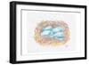 Aqua Eggs-Beverly Dyer-Framed Art Print