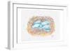 Aqua Eggs-Beverly Dyer-Framed Art Print