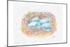 Aqua Eggs-Beverly Dyer-Mounted Art Print