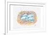 Aqua Eggs-Beverly Dyer-Framed Art Print