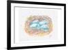 Aqua Eggs-Beverly Dyer-Framed Art Print