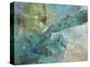 Aqua Explosion-Gabriela Villarreal-Stretched Canvas