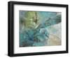 Aqua Explosion-Gabriela Villarreal-Framed Art Print