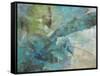 Aqua Explosion-Gabriela Villarreal-Framed Stretched Canvas