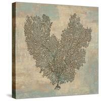 Aqua Fan Coral-Caroline Kelly-Stretched Canvas