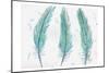 Aqua Feathers-Beverly Dyer-Mounted Premium Giclee Print