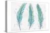 Aqua Feathers-Beverly Dyer-Stretched Canvas