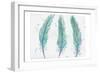 Aqua Feathers-Beverly Dyer-Framed Art Print