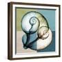 Aqua Filter 2-Albert Koetsier-Framed Premium Giclee Print