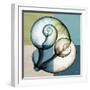 Aqua Filter 2-Albert Koetsier-Framed Premium Giclee Print