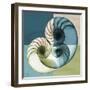 Aqua Filter 4-Albert Koetsier-Framed Premium Giclee Print