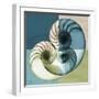 Aqua Filter 4-Albert Koetsier-Framed Premium Giclee Print