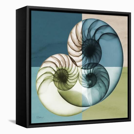 Aqua Filter 4-Albert Koetsier-Framed Stretched Canvas