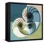 Aqua Filter 4-Albert Koetsier-Framed Stretched Canvas