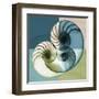 Aqua Filter 4-Albert Koetsier-Framed Art Print