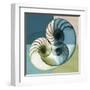 Aqua Filter 4-Albert Koetsier-Framed Art Print