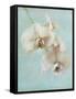 Aqua Floral I-Amy Melious-Framed Stretched Canvas