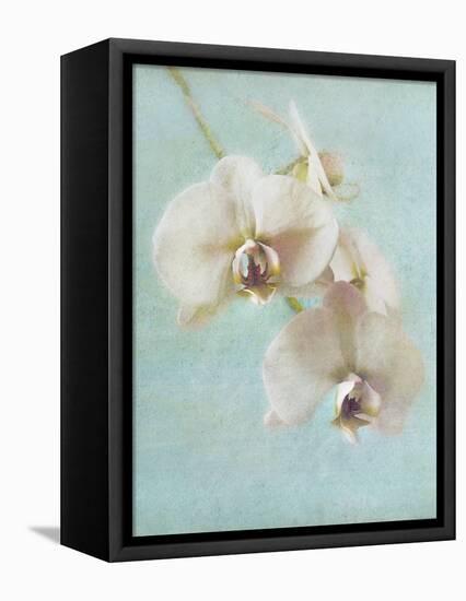 Aqua Floral I-Amy Melious-Framed Stretched Canvas