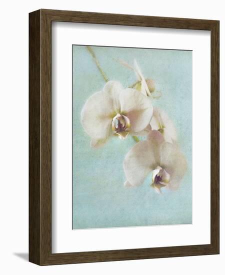 Aqua Floral I-Amy Melious-Framed Art Print