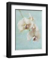 Aqua Floral I-Amy Melious-Framed Art Print