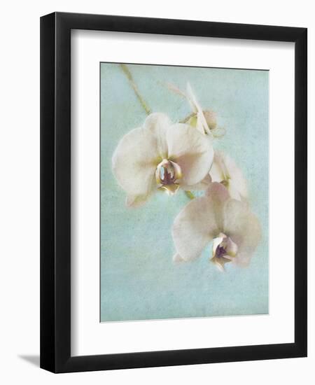 Aqua Floral I-Amy Melious-Framed Art Print