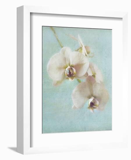 Aqua Floral I-Amy Melious-Framed Art Print