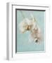 Aqua Floral I-Amy Melious-Framed Art Print