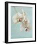 Aqua Floral I-Amy Melious-Framed Art Print