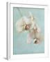 Aqua Floral I-Amy Melious-Framed Art Print