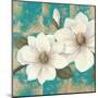 Aqua Floral II-Tc Chiu-Mounted Art Print