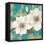 Aqua Floral II-Tc Chiu-Framed Stretched Canvas