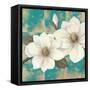 Aqua Floral II-Tc Chiu-Framed Stretched Canvas