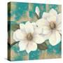 Aqua Floral II-Tc Chiu-Stretched Canvas