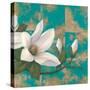 Aqua Floral II-TC Chiu-Stretched Canvas