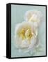 Aqua Floral III-Amy Melious-Framed Stretched Canvas