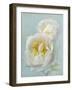 Aqua Floral III-Amy Melious-Framed Art Print