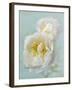 Aqua Floral III-Amy Melious-Framed Art Print