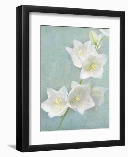 Aqua Floral IV-Amy Melious-Framed Art Print