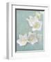 Aqua Floral IV-Amy Melious-Framed Art Print