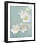 Aqua Floral IV-Amy Melious-Framed Art Print