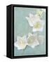 Aqua Floral IV-Amy Melious-Framed Stretched Canvas