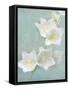 Aqua Floral IV-Amy Melious-Framed Stretched Canvas