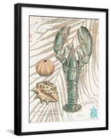 Aqua Lobster-Chad Barrett-Framed Art Print