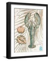 Aqua Lobster-Chad Barrett-Framed Art Print