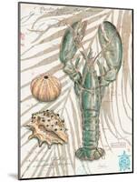 Aqua Lobster-Chad Barrett-Mounted Art Print