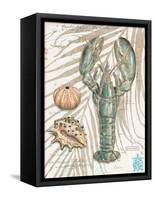 Aqua Lobster-Chad Barrett-Framed Stretched Canvas